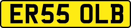 ER55OLB