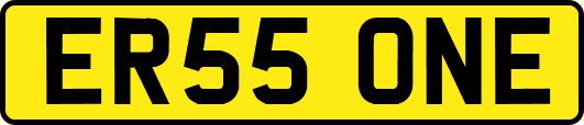 ER55ONE