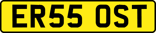 ER55OST