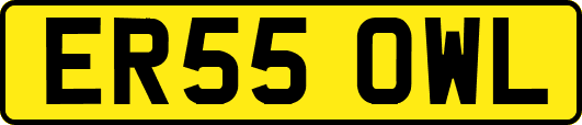 ER55OWL