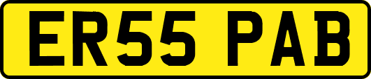 ER55PAB