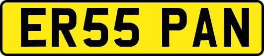 ER55PAN