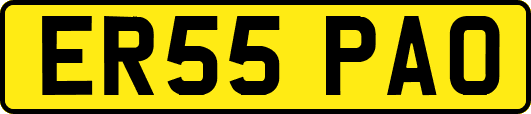 ER55PAO