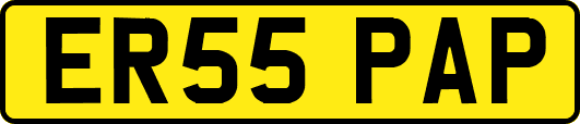 ER55PAP