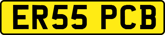 ER55PCB