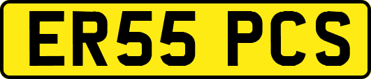ER55PCS