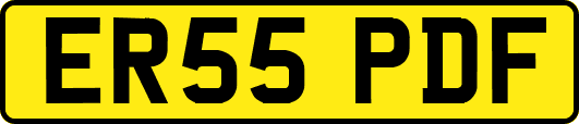 ER55PDF
