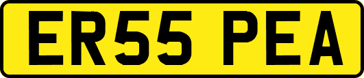 ER55PEA