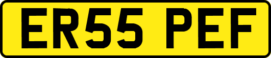 ER55PEF