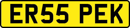 ER55PEK