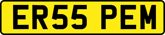 ER55PEM