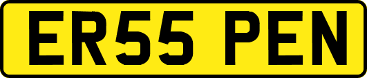 ER55PEN