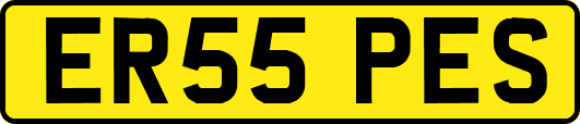 ER55PES