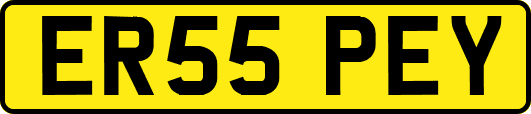 ER55PEY