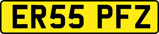 ER55PFZ