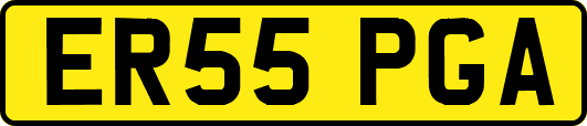 ER55PGA