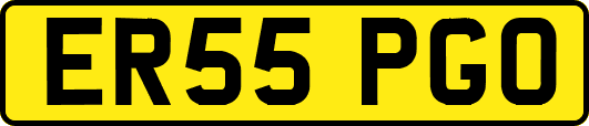 ER55PGO