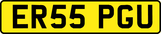 ER55PGU