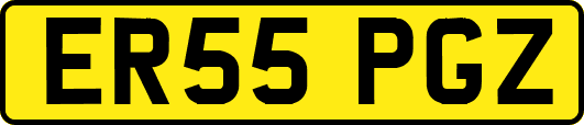 ER55PGZ