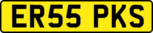 ER55PKS