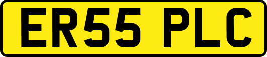 ER55PLC