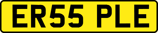 ER55PLE