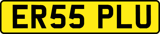 ER55PLU