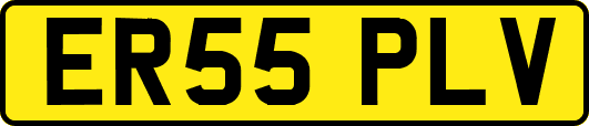 ER55PLV