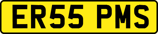 ER55PMS