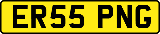ER55PNG