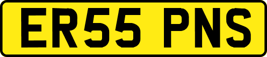 ER55PNS