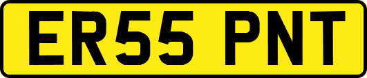 ER55PNT