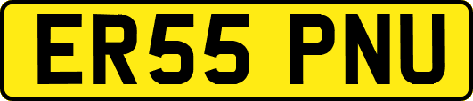 ER55PNU