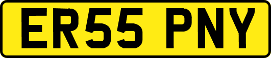 ER55PNY