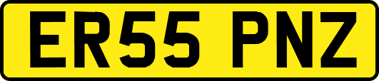 ER55PNZ