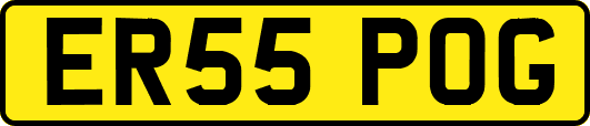 ER55POG