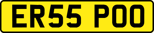 ER55POO