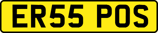 ER55POS