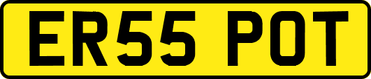 ER55POT