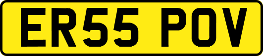 ER55POV