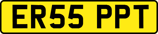 ER55PPT