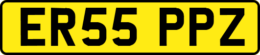 ER55PPZ