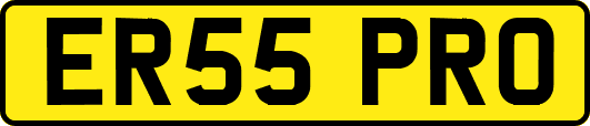 ER55PRO