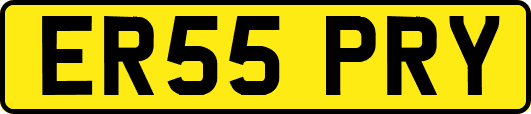 ER55PRY