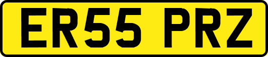 ER55PRZ