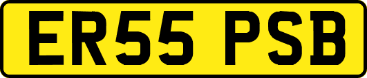 ER55PSB