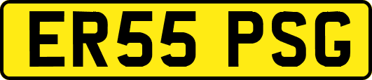 ER55PSG