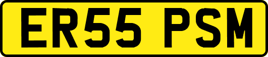 ER55PSM