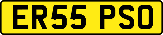 ER55PSO