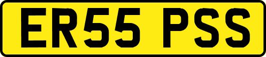 ER55PSS